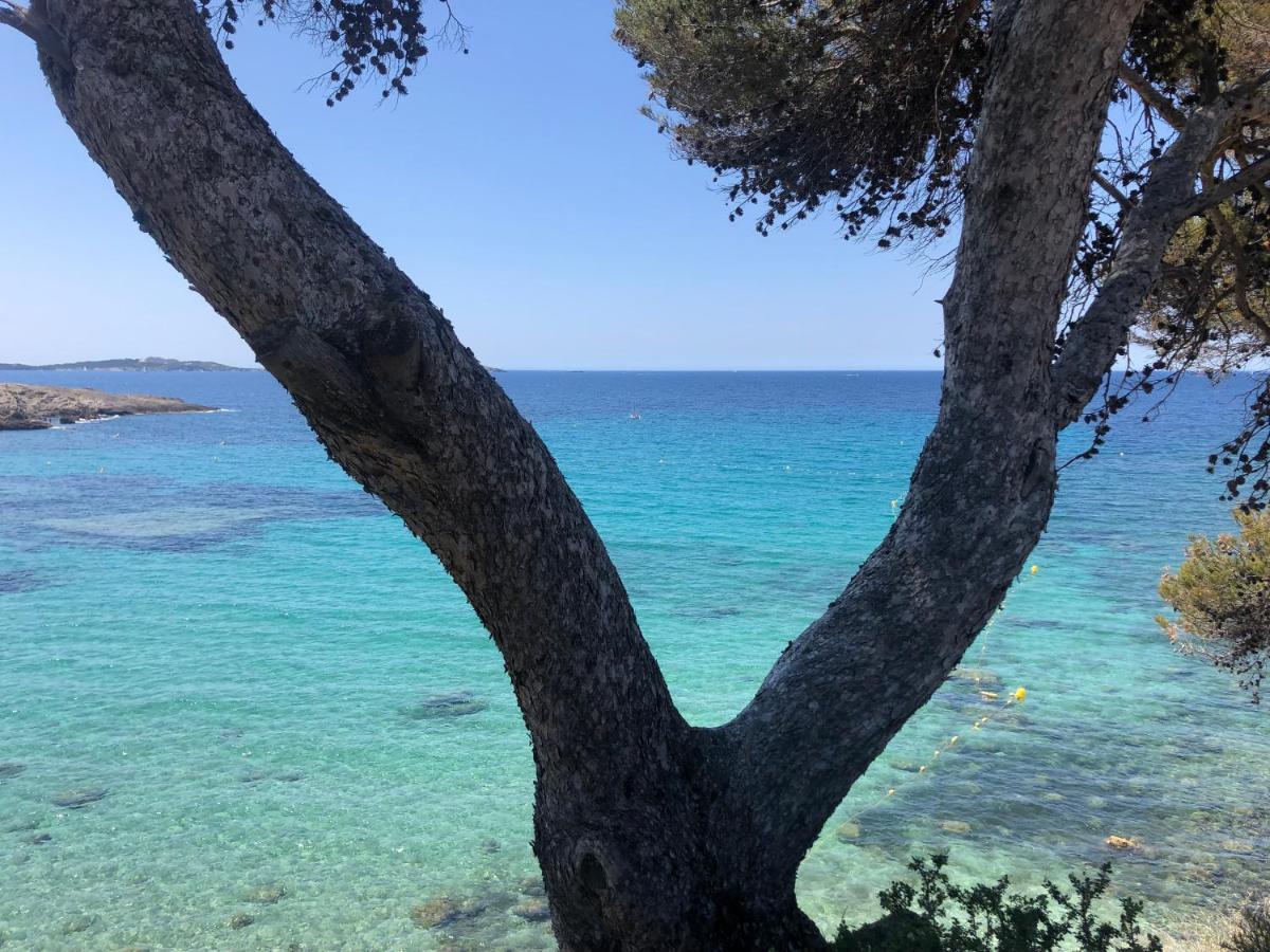 Ferienwohnung Les Baux 1 Sanary-sur-Mer Exterior foto